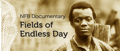 Archival image of young African Canadian man from Fields of Endless Day documentary with text “NFB Documentary: Fields of Endless Day”